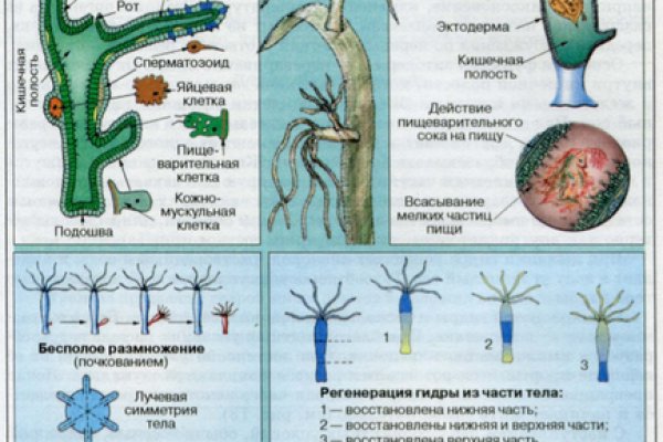 Браузер кракен