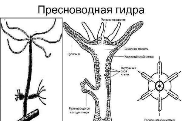 Как зарегистрироваться в kraken